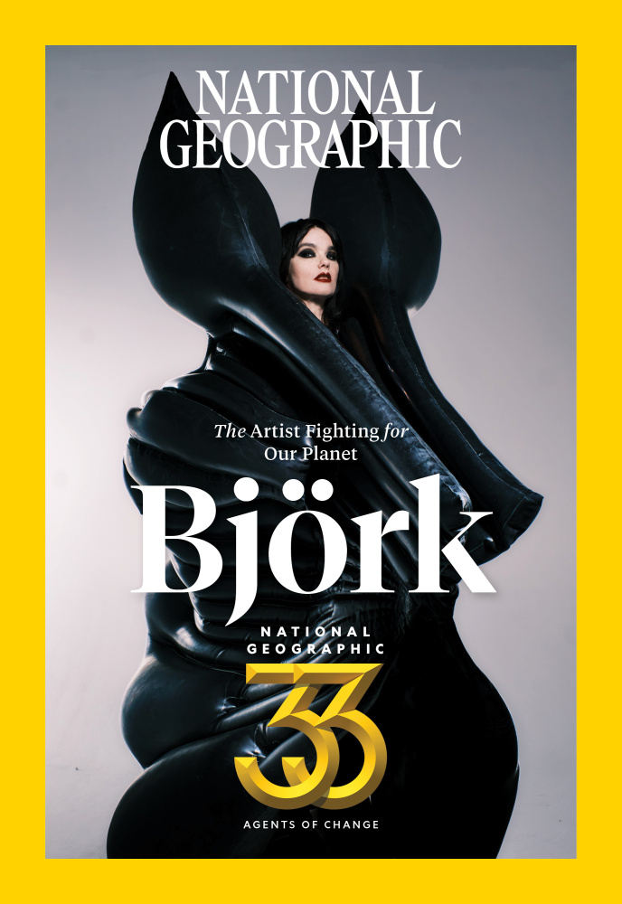 1 bjork v2