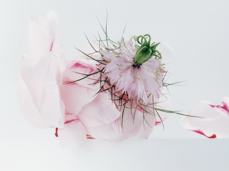 616012611 18554345806051715 5221546861058587019 n