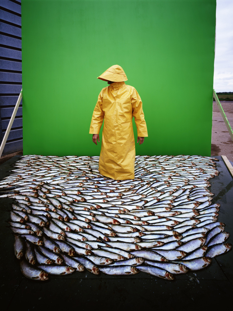 Cabbage Man in Seafish