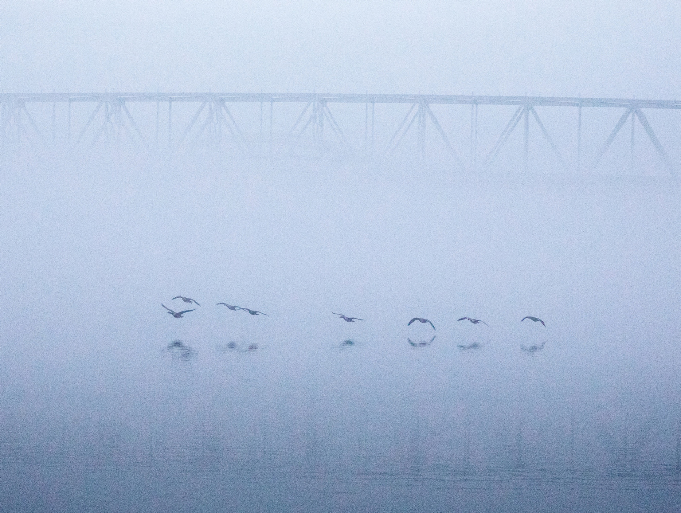 Cincinnati.jpg (reduced)