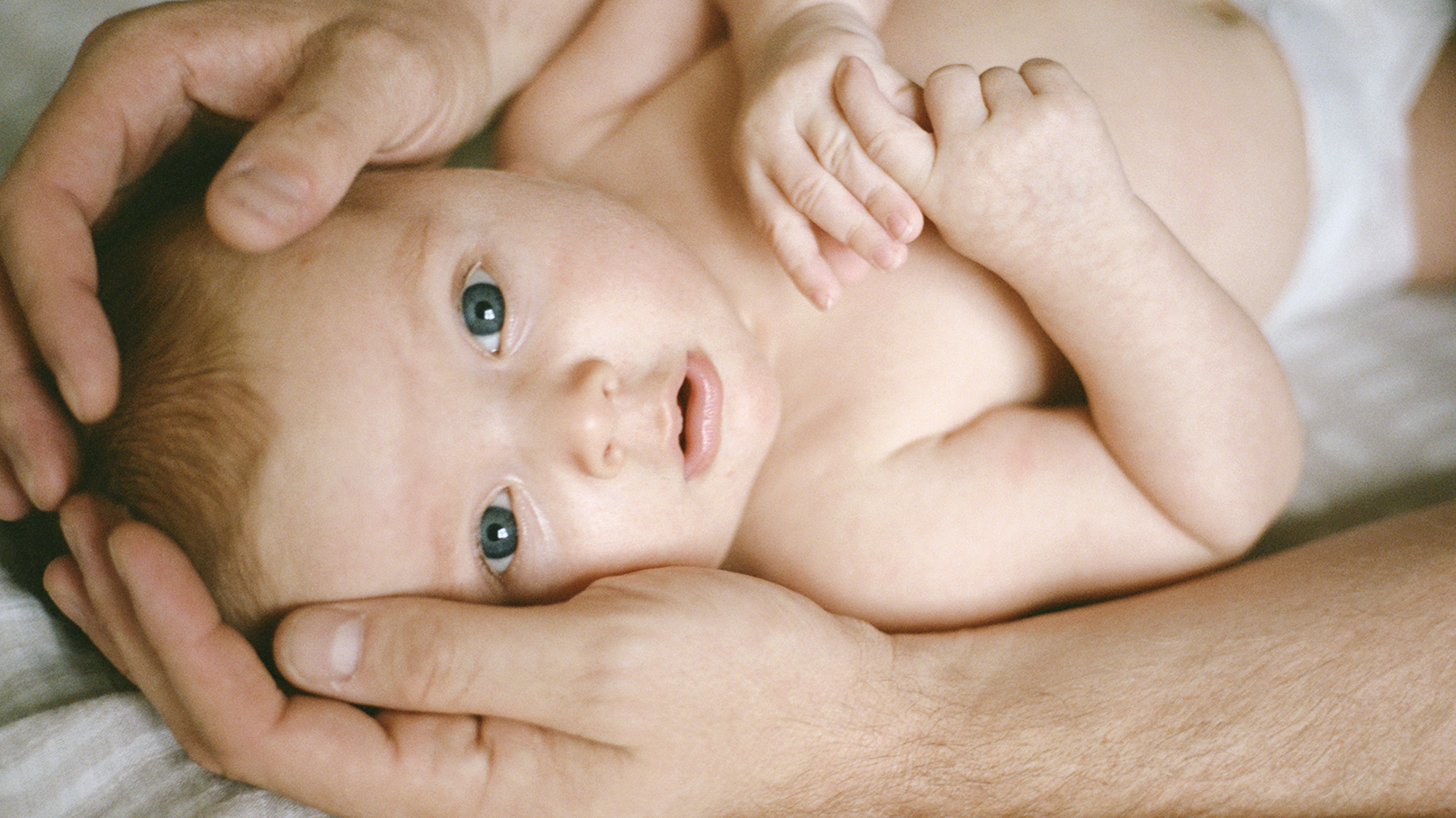 Creative Blood Georgia Hilmer 150dpi 03 v3