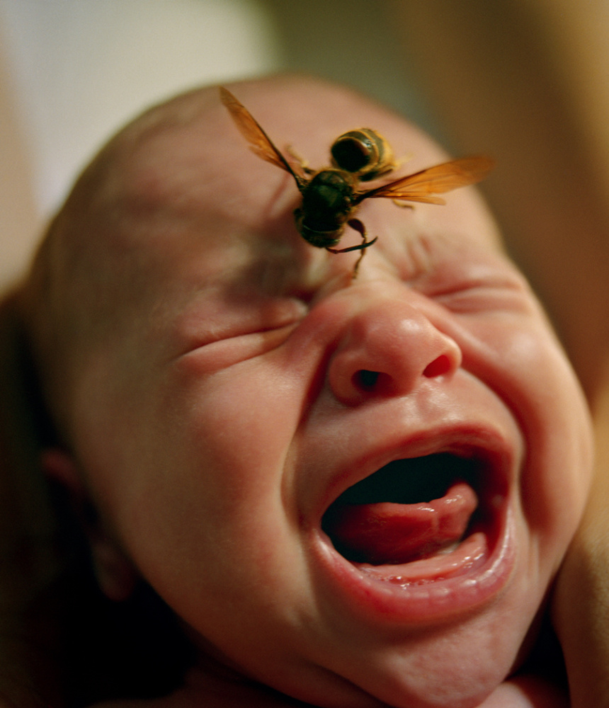 JUNE10 4685 8022 802320210816 07 ORG v4.jpg reduced