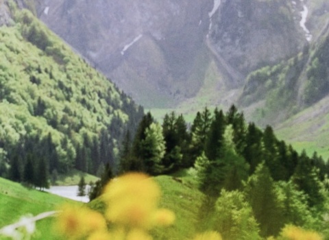 Screenshot 2025 09 23 at 15.25.49